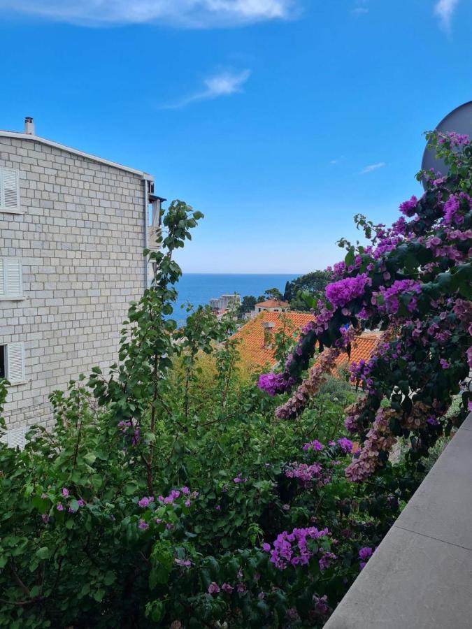 Apartments Deranja II Dubrovnik Buitenkant foto
